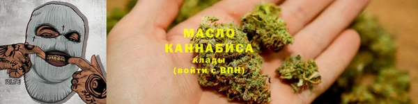 соль ск Няндома