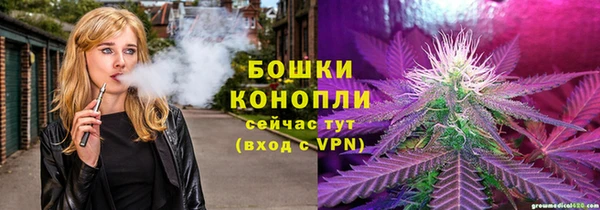 прущие грибы Нягань