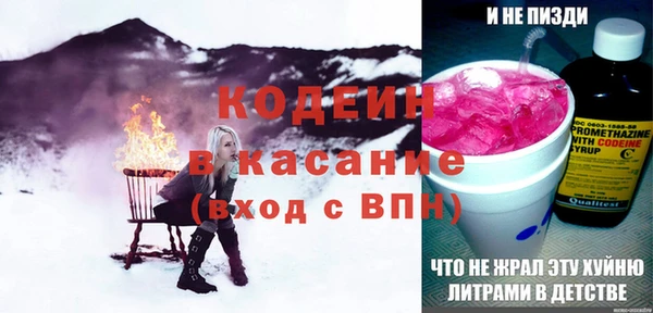 соль ск Няндома