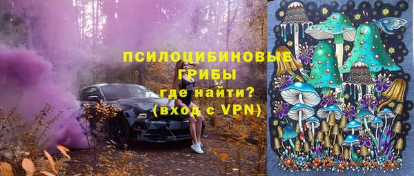 прущие грибы Нягань
