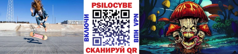 где купить   Ливны  гидра   Галлюциногенные грибы Cubensis 