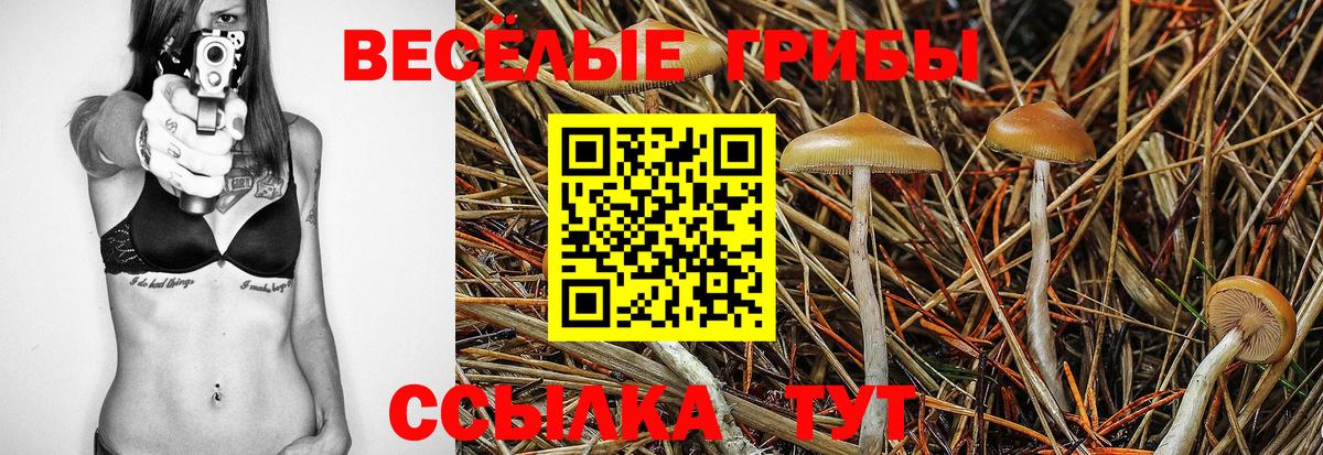 Амфетамин Ливны