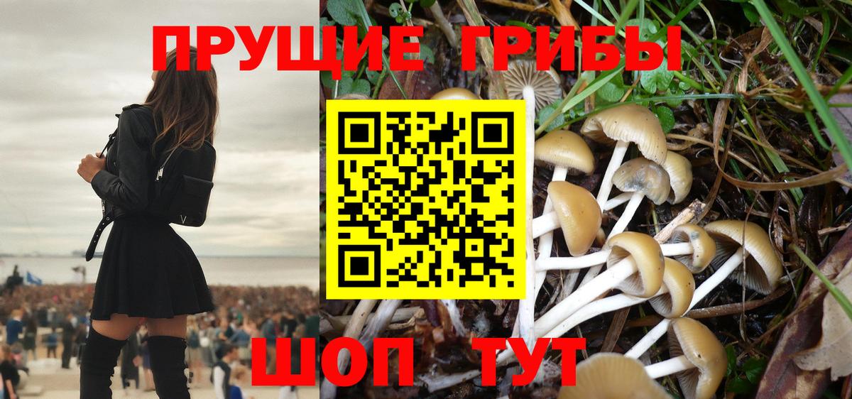 Псилоцибиновые грибы MAGIC MUSHROOMS  магазин    Ливны 