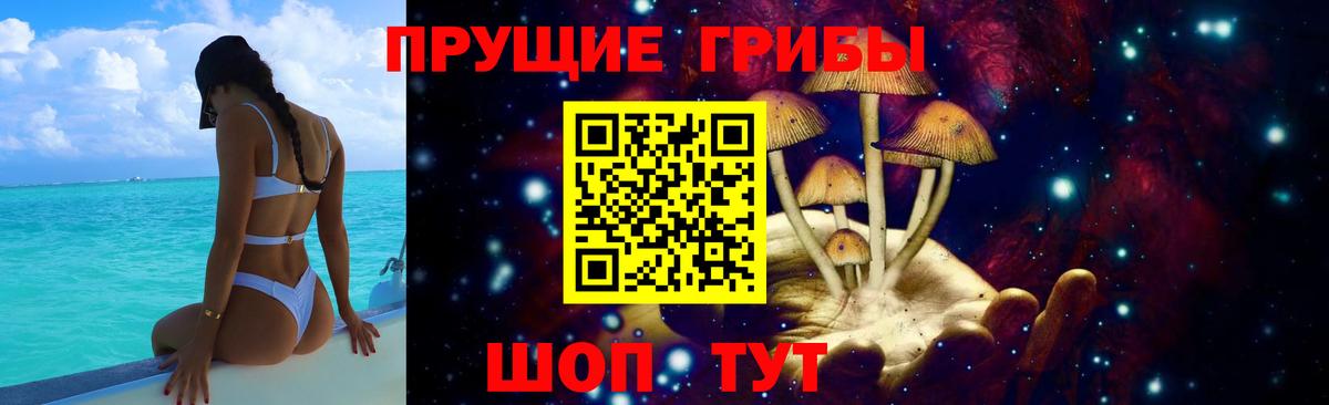 Псилоцибиновые грибы мицелий Ливны